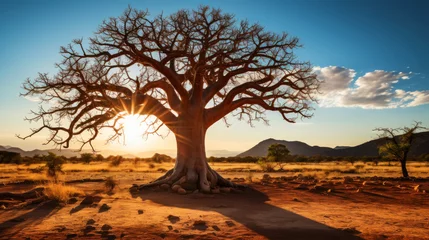 Foto op Canvas Close-up of a baobab tree against a desert background. Scorching heat, sunshine. Desert landscape. Generative AI © AngrySun
