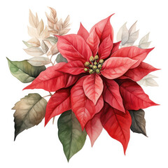 Red Poinsettia: Festive Floral Illustration of a Beautiful Winter Plant on a Bright Merry Christmas Watercolor Card