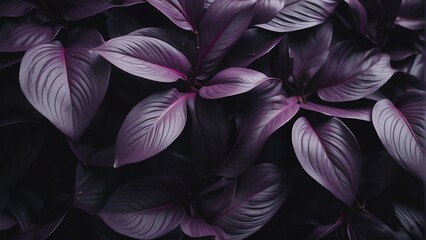 Purple plant tropical leaves background pattern wallpaper from Generative AI