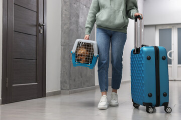 Travel with pet. Woman with suitcase holding carrier with dog in hall, closeup. Space for text