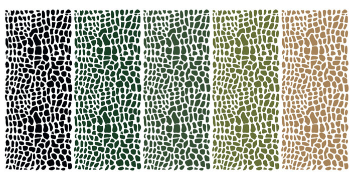 Set of colorful reptile skin backgrounds. Animal print texture.