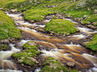 Moss-Covered Stones in a Mountain Stream