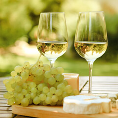 Various sorts of cheese and white wine
