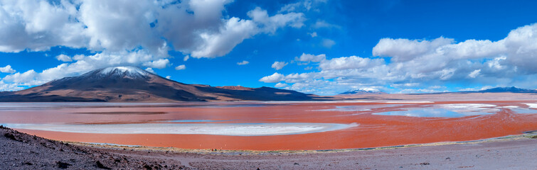 Flamingoes in Laguna Colorada , Bolivia