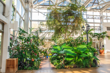 Bright and Lush Green Plants, The State Botanical Garden of Georgia, Athens, Georgia