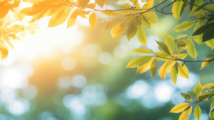 Golden autumn leaves bask in the warm sunlight, with a beautiful bokeh effect creating a serene seasonal background.