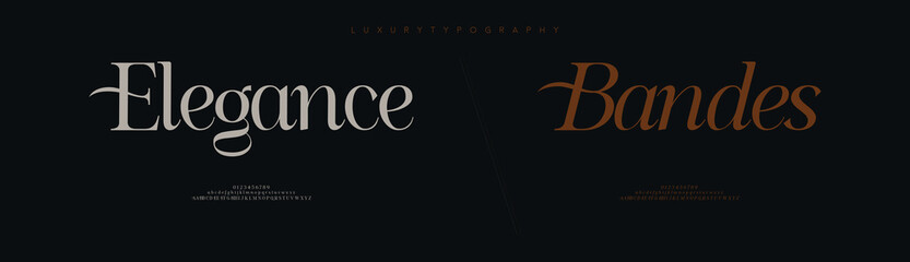 Elegance bandes, elegant alphabet letters font logo typography luxury classic lettering serif italic fonts decorative wedding vintage retro logos vector illustration
 - obrazy, fototapety, plakaty
