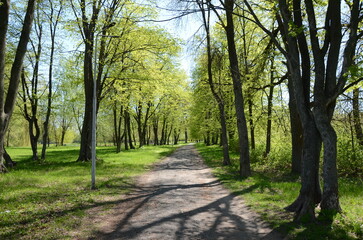 path in the park