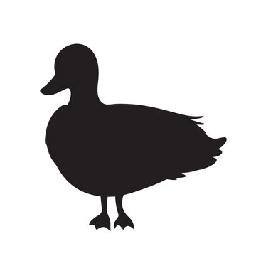 Call duck silhouette shadow vector icon illustration isolated on white square background. Simple flat black and white colored drawing.
