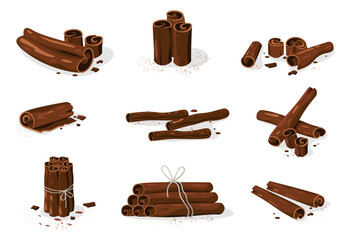 Cinnamon sticks. Organic sweet spice bark, dry cinnamons seasoning for baking dessert, organic herbal spice. Vector flat collection