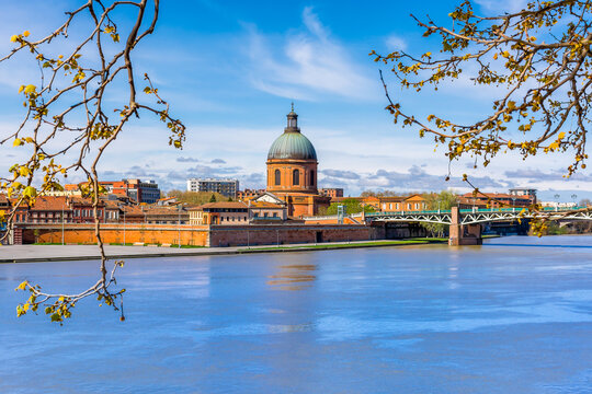Scenic view of the city of Toulouse in France with the Garonne river and spring sprouts in foreground 