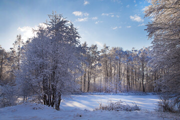 Winter landscape of a lake shore with trees and withered grass.