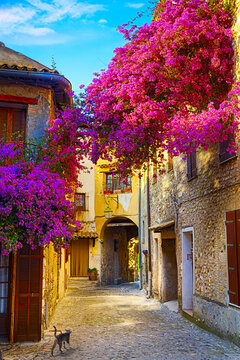 Fototapeta art beautiful old town of Provence Alpes Cote de Azur