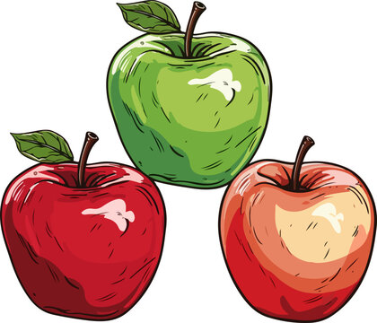 apple vector design illustration isolated on transparent background