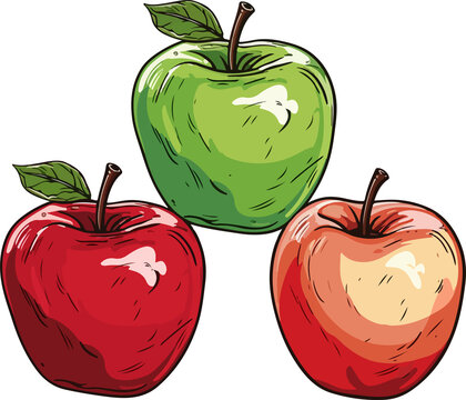 apple design illustration isolated on transparent background