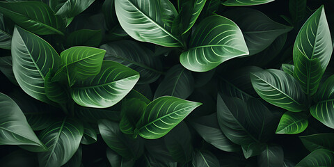 A vibrant green leafy plant up close