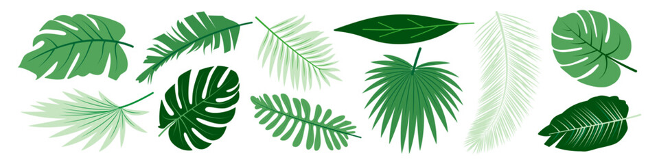 Fototapeta na wymiar Set of botanical tropical palm leaves branches in green colors for modern design decoration. Flat doodle style. Vector illustration.