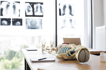 Model of a variety of human body parts in doctor office. 3D model of human skeleton with organs lies on table of universities surgical department. Showing skeleton ,organs, brain, bones, joints. - obrazy, fototapety, plakaty