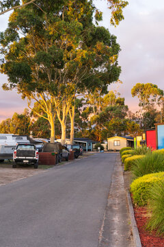 Looking down a laneway with 4 wheel drives and caravans under tall gumtrees in a caravan park
