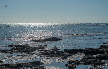 sea stone