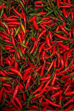 hundreds of chillis for sale at the farmers markets