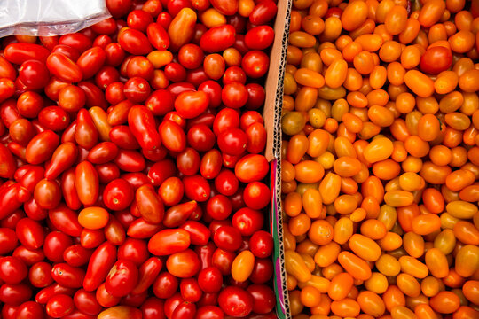 piles of red and yellow fresh tomatoes for sale