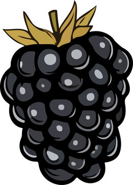 black blackberry fruit with green leaves clip art preview