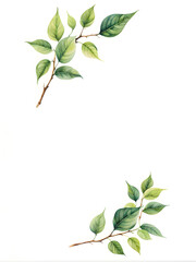 Fototapeta na wymiar watercolor-illustration-of-a-leafy-frame-in-minimalist-style-by-no-background