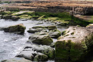 moss-covered rocks and cliff at the beach