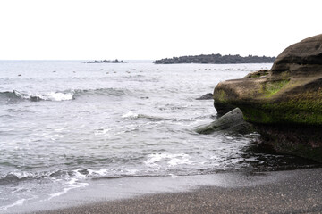 seaside view with moss-covered rock and horizon