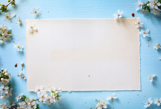 art Easter Spring border background with spring flowers