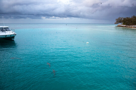 tropical storms rolling in over the clear blue waters of Heron Island