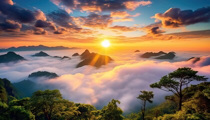 View of the sea of clouds from the top of the mountain peak. Tropical rainforest with vibrant morning reflection of the sunrise.