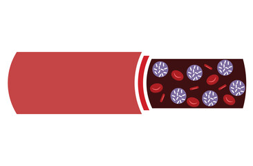 leukemia. Blood cancer. Red and white blood cells. Isolated vector illustrations in cartoon style.normal blood and leukemia.Red and white Blood,Leukemia icon. White and red blood cells,red