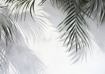 white wall texture with palm leaves, in the style of inky shadows, shaped canvas, contrasting shadows, high resolution, light gray and gray, scattered composition, soft-edged