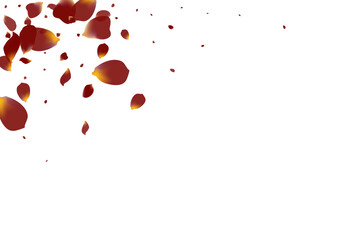 Burgundy Blossom Fly Vector White Background.