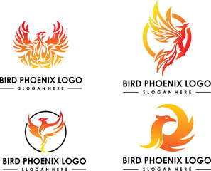 modern phoenix set logo template