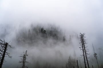Mgła w górach - obrazy, fototapety, plakaty