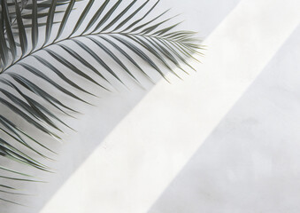 Fototapeta premium white wall texture with palm leaves, in the style of inky shadows, shaped canvas, contrasting shadows, high resolution, light gray and gray, scattered composition, soft-edged