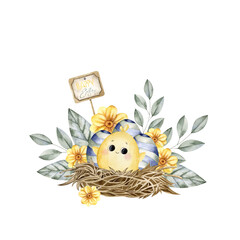 Hand-drawn watercolor illustration with easter chicken, nest, eggs and flowers. Composition for decoration and design souvenirs, posters, postcards, prints