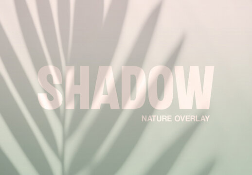 Photorealistic Leaf Shadow Overlay Texture
