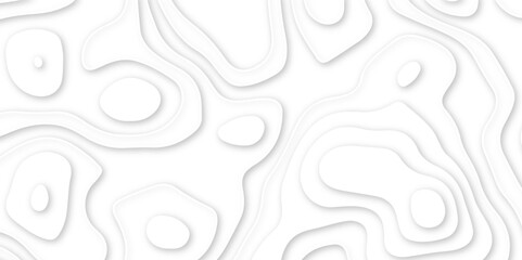 Abstract wavy line 3d paper cut white background. abstract white background with smooth wavy layers. silver grid map line topography mount contour map .