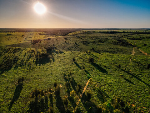 Overview of varying green paddocks facing into the sun
