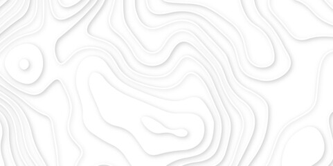 Abstract wavy line 3d paper cut white background. abstract white background with smooth wavy layers. silver grid map line topography mount contour map . - obrazy, fototapety, plakaty
