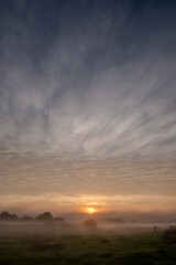 Captured in this portrait-oriented image is a celestial dawn breaking across a meadow shrouded in mist. The vertical frame emphasizes the grandeur of the sky, a vast canvas where streaks of cirrus