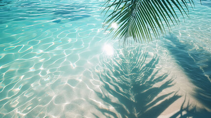 Fototapeta na wymiar Tropical leaf shadow on water surface. Shadow of palm leaves on white sand beach