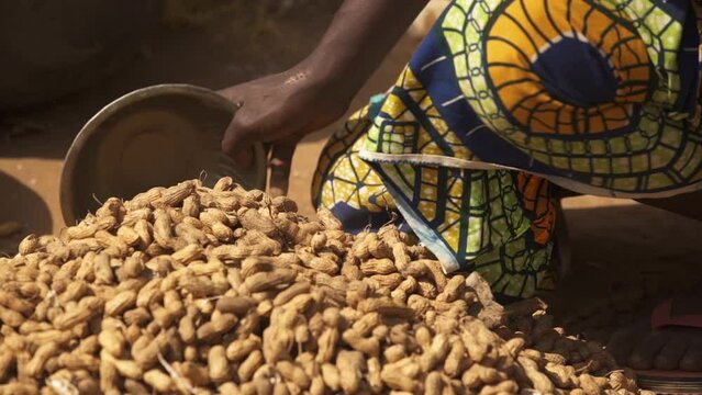 A peanut seller collects nuts at a market in Africa