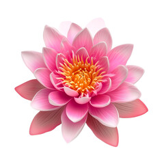 lotus flower isolated on transparent background top view 