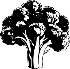 Fototapeta premium broccoli vector design illustration isolated on transparent background 
