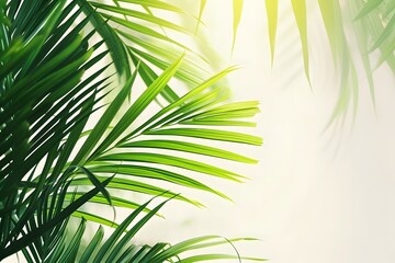 Obraz premium A tropical palm leaf arrangement on a neutral surface